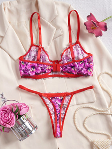 2025 Neueste Cross-Border Valentinstag Sexy Dessous-Set Retro Mehrfarbiger Spitzen-Print Bügel-Push-Up Ultra-Dünnes BH-Set - Product Image 4