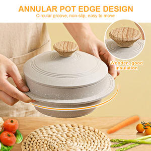 เกาหลี Nonstick หม้อซุปหม้อเครื่องครัวชามจาน Bibimbap หม้อหม้อพร้อมฝาปิด - Product Image 4