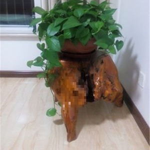 Tabouret de sculpture de <span class=keywords><strong>racine</strong></span> naturelle en bois de <span class=keywords><strong>sapin</strong></span> massif élégant support d'arbre d'ornement de souche en bois pour Tables à manger meubles de maison - Product Image 3