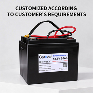 12.8V 50Ah LiFePO4 배터리 팩 BMS 전기 자동차, 오토바이, 삼륜차용 ABS 플라스틱 케이스 - Product Image 2