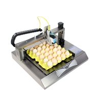 Nouveau lot bon marché Tij oeuf Date de péremption et numéro de lot Machine de codage Imprimante à plat pour l'impression de la date de péremption des aliments et des boissons