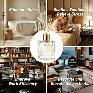 Diffuseur de parfum personnalisé avec logo Champs-Élysées pour hôtel, maison, vente en gros, respectueux de l'environnement - Product Image 3