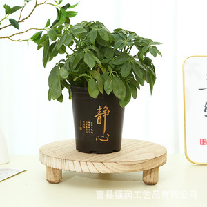 Solid Wood Flower <b>Pot</b> Base Round Natural Color Minimalist Design Living Room <b>Standing</b> Type - Product Image 5