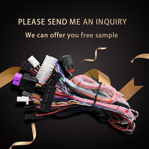 Yüksek kalite 1.5M MOLEX MICRO-FIT 3.0 2 Pin 12V güç kablosu kablo demeti için elektronik cihazlar için LCD/ekran/reklam - Product Image 2