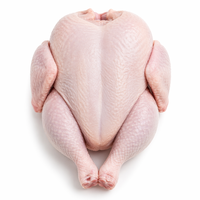 Pollo Entero Congelado Halal al por Mayor, Pollo de Engorde Premium para Exportación, Proveedor de Aves de Corral IQF, Precio de Fábrica