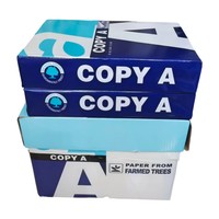 Papier copie A4 blanc certifié CIE 167 ISO14001, 80 g/m², 500 feuilles/rame, 210x297 mm, 5 rames/carton