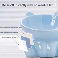 Animal Chien Accessoires Produits Meilleures Ventes Luxe Surélevé Petit Chien Chat Céramique Bol alimentaire Distributeurs