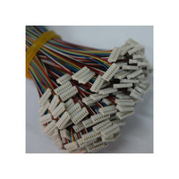 Perakitan Kabel Konektor Disesuaikan Pabrik Jst 1.0Mm Pitch Konektor Kawat Harness