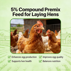 Prémélange naturel sans antibiotiques pour volailles, additif alimentaire pour l'élevage écologique et sain, stimulant de la production d'œufs pour pondeuses - Product Image 6