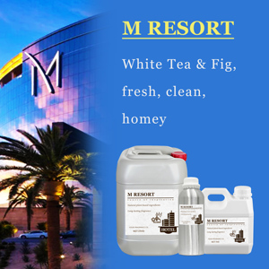 Huile Essentielle Style Plage Côtier pour Diffuseur d'Ambiance, Parfum Brise Marine Fraîche pour Maison, Hôtel et Bureau - Product Image 5