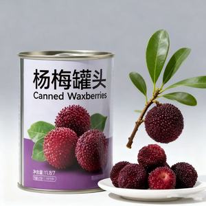 Taze Toplanmış Bayberry Meyvesi Kutusu - İhracat Kalitesi, Yüksek Et İçeriği, Katkı Maddesi İçermez, Toplu Tedarik ve OEM - Product Image 1