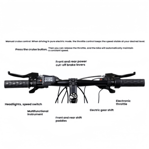 Bicicleta Eléctrica de Montaña con Cuadro de Acero de Alto Carbono, 21 Velocidades, Horquilla de Suspensión, Neumáticos Gruesos de 26 Pulgadas, Motor de 250W, 36V, Todoterreno, para Hombre - Product Image 5