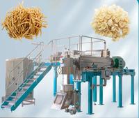 Volledig automatische 2D 3D pellet snacklijn coating frituurchips machine industrieel gebruik motor 304 roestvrij staal