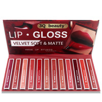 3Q Beauty 12 couleurs matte Velvet liquide imperméable à l'eau rouge à lèvres Kit Lip stick Kit Lipgloss