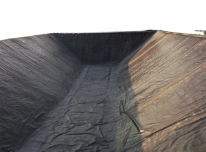 2025 <strong>Geomembrane</strong> Price <strong>With</strong> Low Price - Product Image 6