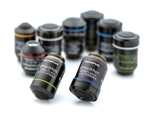 กล้องจุลทรรศน์ดิจิตอล Olympus BX53/BX43/BX46 แบบสามตา ความละเอียด 1280x720 มาตรฐาน IP53 โฟกัสแบบแมนนวล สำหรับการใช้งานทางชีววิทยาและการแพทย์ขั้นสูง - Product Image 6