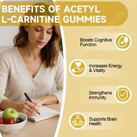 Suplementos de Acetil L-Carnitina OEM en Gomitas Sin Azúcar para Adultos, Apoyo Energético, Salud Cerebral, Concentración, Claridad, Metabolismo de Grasas, 60 Unidades