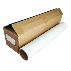 Gratis Sederhana Hotpeel 35 Cm Film Transfer Dtf Film Kertas Transfer A4 Kepala Dtf Transfer Pet Film Vinyl Printer Digital