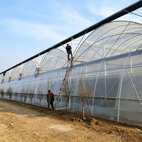 Grand système hydroponique commercial, serre en film plastique, projet personnalisé d'usine, serre en acier galvanisé pour ferme