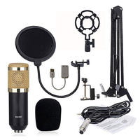 Ensemble de microphone et de support pliable professionnel PYJ, qui peut être utilisé pour la diffusion sur le web, la production vidéo, le studio d'enregistrement