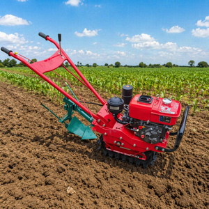 Motoculteur multifonctionnel compact neuf/<span class=keywords><strong>occasion</strong></span>, 1 ensemble, <span class=keywords><strong>moteur</strong></span> diesel, pour ferme, vente directe usine - Product Image 1