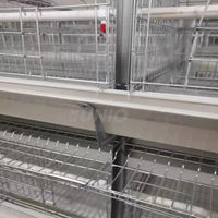 Cage automatique pour poules pondeuses industrielle à bas prix grand poulailler Atype poulailler pour poules pondeuses