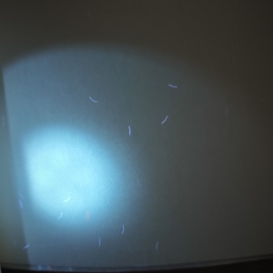 Carta di sicurezza di alta qualità per filigrane, banconote, timbri e biglietti con fibra UV invisibile per la vendita all'ingrosso - Product Image 3