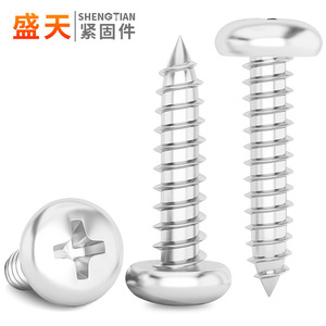 Vis autotaraudeuses en acier inoxydable 304 Shengtian, tête ronde, pointe Phillips, vis à bois, qualité industrielle A - Product Image 2