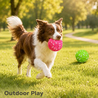 Jouet pour chien en silicone qui couine, balle à mâcher en forme d'os pour animaux de compagnie