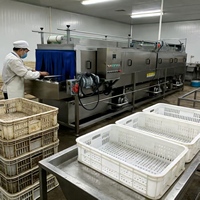 Laveuse automatique de caisses en plastique en acier inoxydable |   Machine de nettoyage de plateaux pour barquettes à œufs, conteneurs en plastique et boîtes à fruits de mer