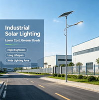 Lampe Intelligente Hybride Éolienne et Solaire Intégrée pour Route et Extérieur YD-TYN-11