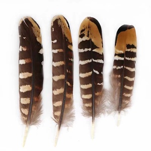 Offre Spéciale En Gros pas cher plume de faisan de Venery faisan aile piquants - Product Image 1