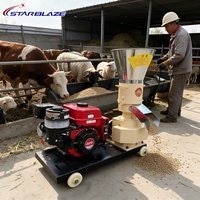 Machine à granulés à essence à prix d'usine pour la production d'aliments pour volailles, porcs et lapins sur les petites exploitations agricoles