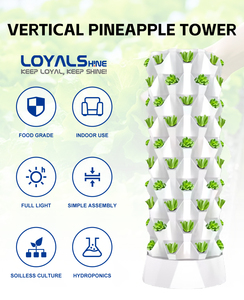 Nouveau Système de Jardinage Hydroponique Design Moderne, Tour Aéroponique Verticale pour Légumes - Product Image 6