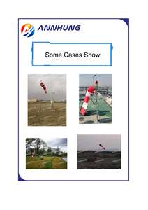 AH-HP/W-1 Içten Aydınlatmalı Heliport Rüzgar Konisi ile projektör Içinde - Product Image 5