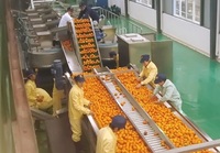 Bouteille PET ananas jus frais pasteurisateur haute pression machine HPP ligne de traitement des boissons