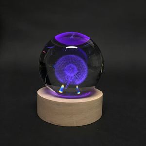 Lampes de nuit LED lumineuses 3D personnalisées, décoration moderne pour la chambre à coucher, lampe de table en cristal de pissenlit de taille moyenne - Product Image 5