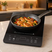 Plaque chauffante électrique à induction portable 2200W à brûleur unique avec plaque en verre pour la cuisson domestique et hôtelière