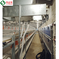 Vente Chaude : Mangeoire Automatique pour Poulets, Équipement d'Élevage Avicole, Cage à Batterie pour Poulets de Chair (10 000 Poulets), Haute Qualité