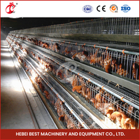 Cages de couveuse automatiques avec appareils de chauffage pour poussins d'un jour