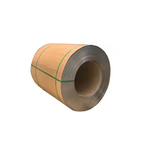 Bobina de Acero al Carbono Laminado en Caliente, Estándar ASTM, Materia Prima Metálica Industrial