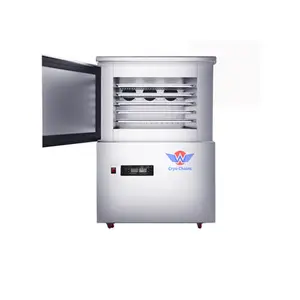 Superlicht-45 Graden 5 Trays Mini Blast Chiller Vriezer 15-18Kg Draagbare Explosie Vriezer Voor Garnalen Aan Boord Van Het Schip