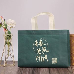 Bolsa de Compras Reutilizable de Tela No Tejida Resistente, Bolsa de Supermercado Promocional, Bolsas de Embalaje No Tejidas con Botón, Venta al Por Mayor - Product Image 2