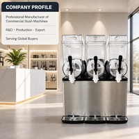 Commerciële slushpuppy machine voor koude dranken, smoothies en ijs, 36L, met ijsvergruizer
