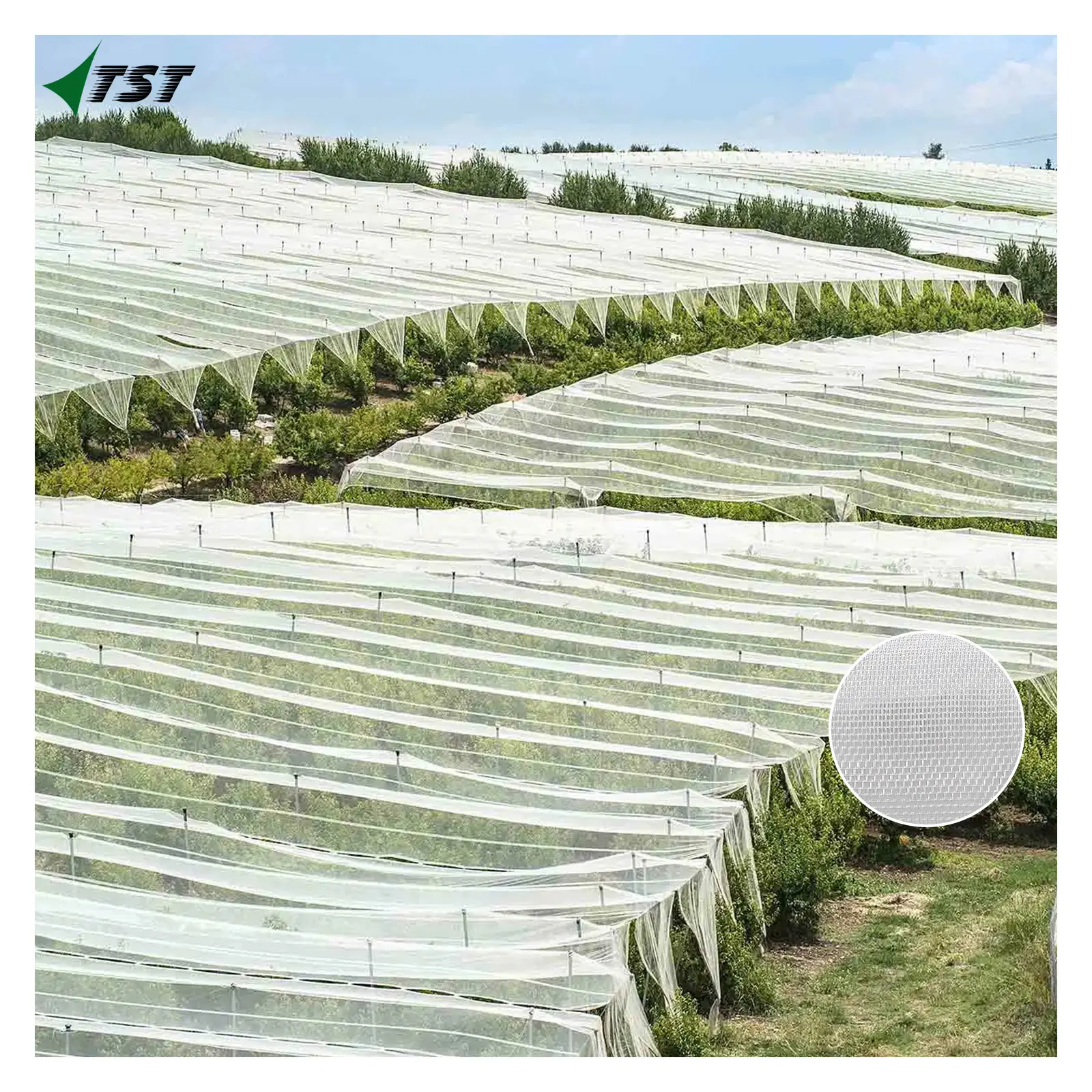 Pe Plastic Anti Bladluis Witte Vlieg Insectennet Moestuinen Nylon Insectenbestrijdingsgaas