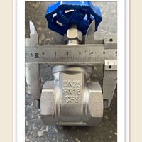 Vannes de service manuelles en acier inoxydable 304 pour l'eau, DN15-DN25, testées 48h/72h en pulvérisation de sel pour Dubaï/Brésil