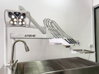 Unité de Traitement Dentaire Vétérinaire Professionnelle avec Lampe LED Papillon pour Blanchiment, Compresseur d'Air Sans Huile et Poste de Travail en Acier Inoxydable