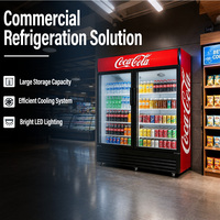Réfrigérateur commercial vertical à double porte vitrée pour boissons, idéal pour les restaurants - Vente directe