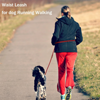 Laisse pour chien OEM de 8 pieds en cuir véritable, réglable, mains libres, avec quincaillerie en laiton, double poignée, pour la randonnée