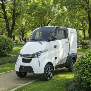 Modèle populaire Tricycles électriques certifiés EEC Carrosserie fermée Compartiments de chargement spacieux pour le transport logistique quotidien - Product Image 3